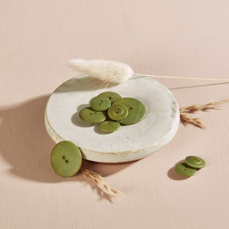 Bouton Palm - Matcha Leaf