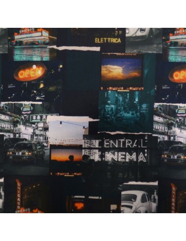 Chicago Polaroids - Lady McElroy