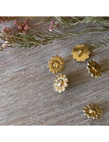 Chicorée Button - Atelier 27