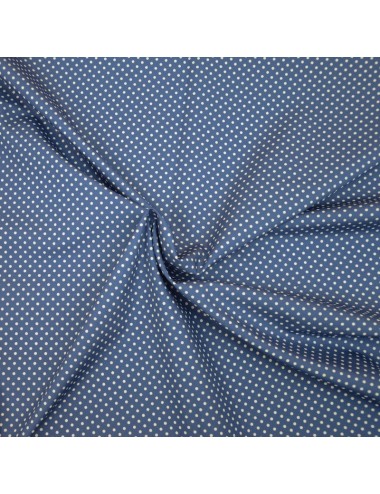Blue poplin, white polka dots
