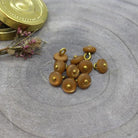 Bouton Jewel Atelier Brunette - Ochre